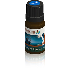 Spice of Life a Essential Oil Blend