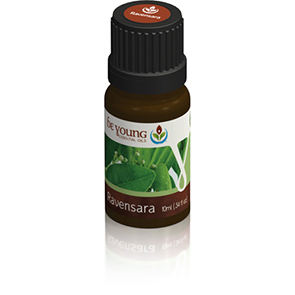 Ravensara Essential Oil