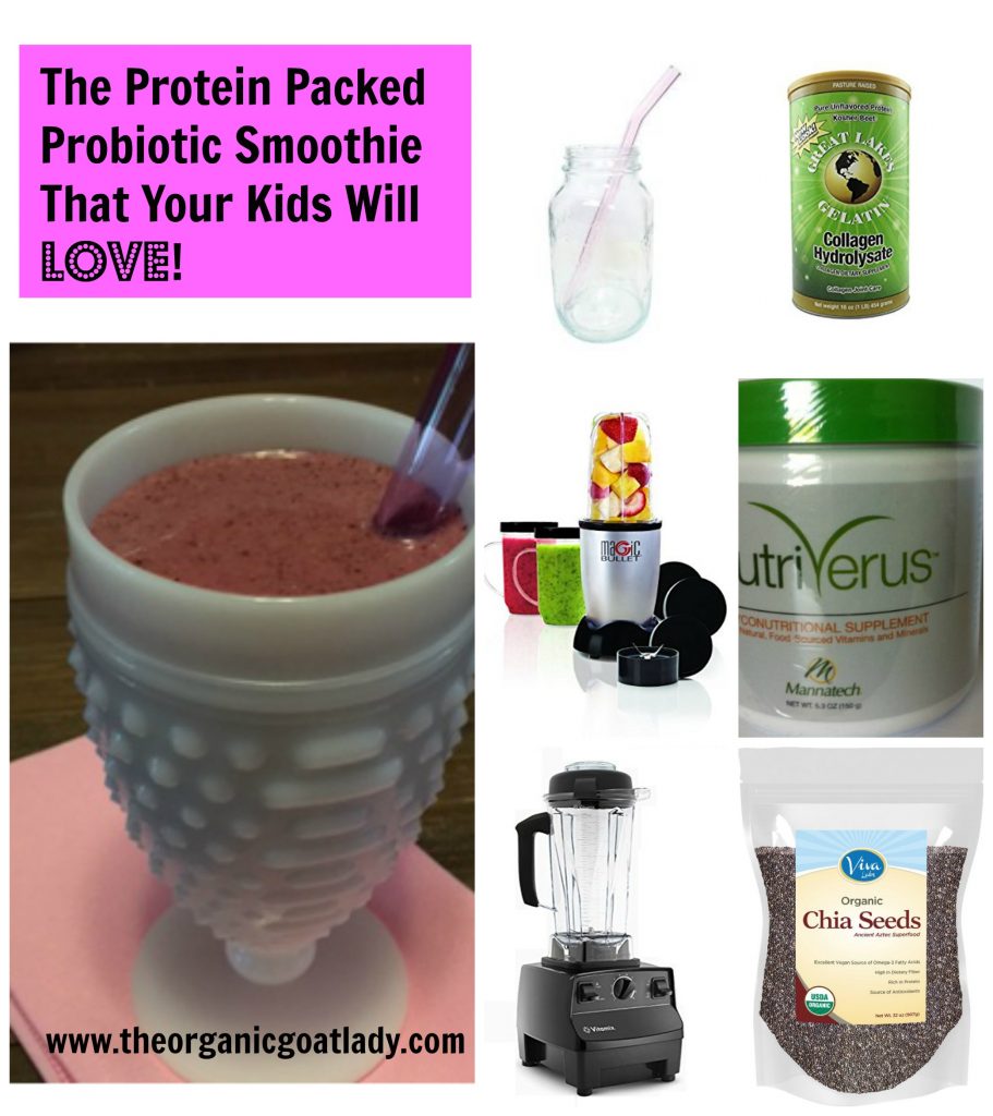 the-protein-Packed-Probiotic-smoothie-that-your-kids-will-love www.theorganicgoatlady.com