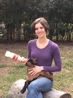 How To Bottlefeed a Baby Goat