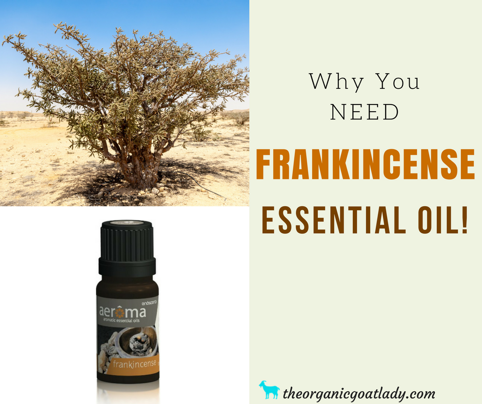 Why You Should Use Frankincense Essential Oil!