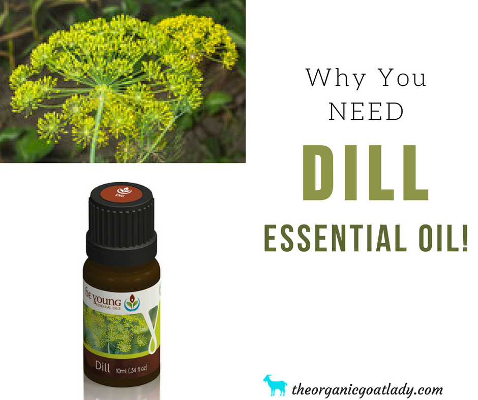 Why You Should Use Dill Essential Oil!