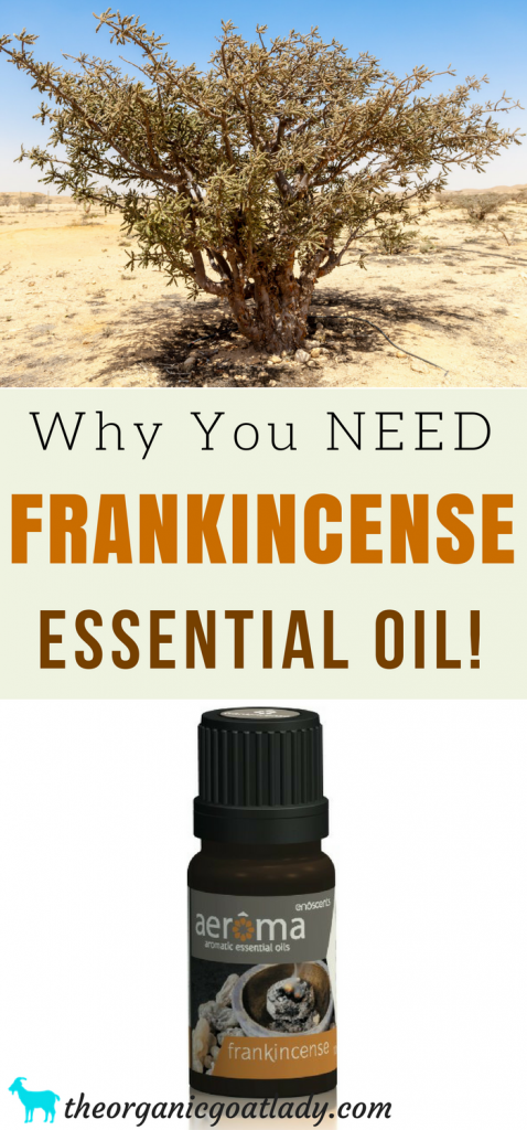 Why You Should Use Frankincense Essential Oil! - The Organic Goat Lady