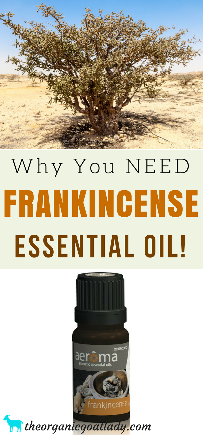 Frankincense smell 2024