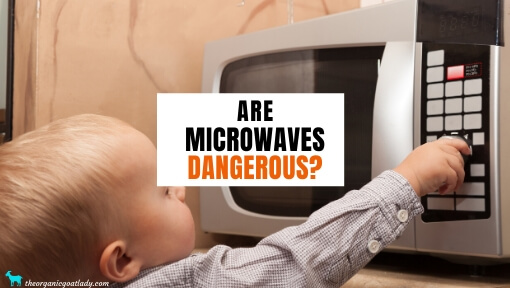 Are Microwaves Dangerous?