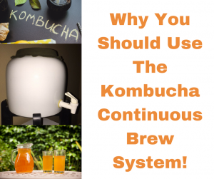 Why You Should Use The Kombucha Continuous Brew System