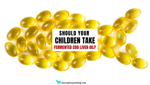 Why Your Children NEED Fermented Cod Liver Oil!