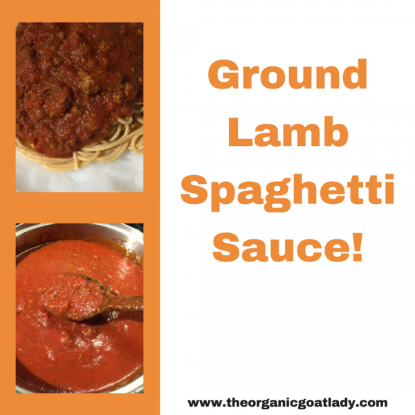 Ground Lamb Spaghetti Sauce! The Organic Goat Lady