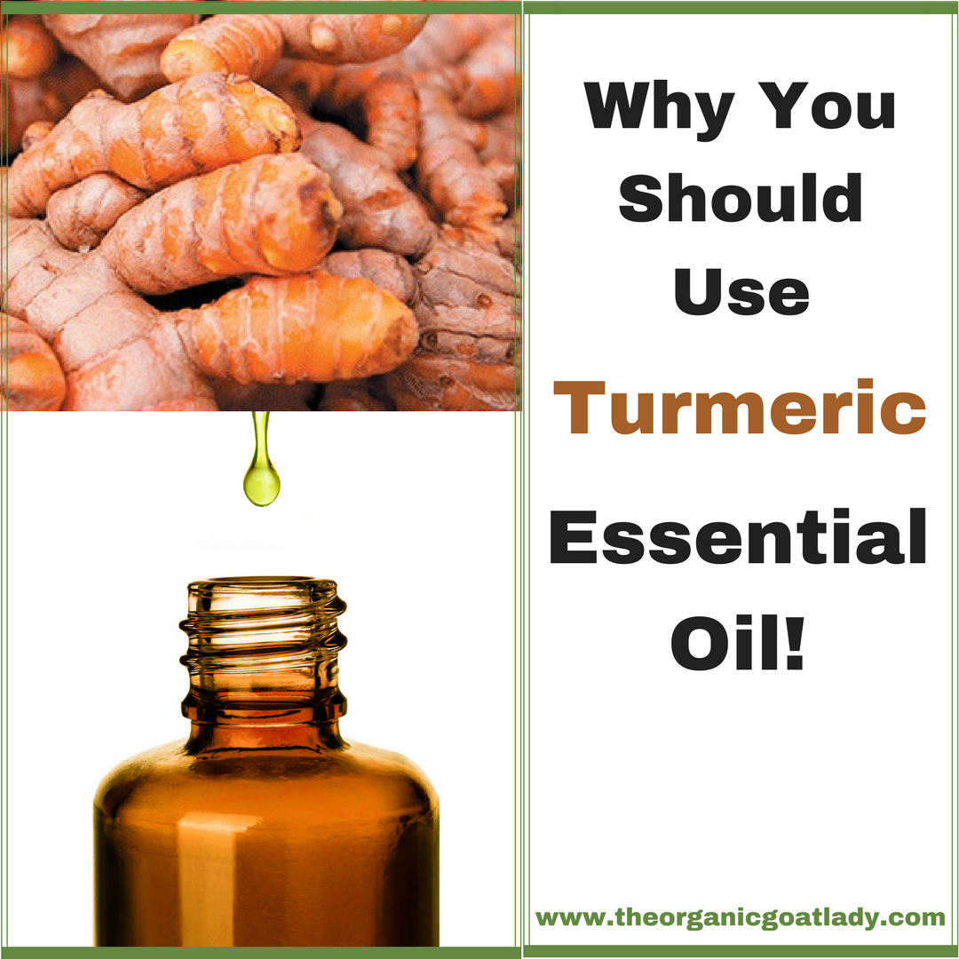 Why You Should Use Turmeric Essential Oil As Your April Oil of The ...