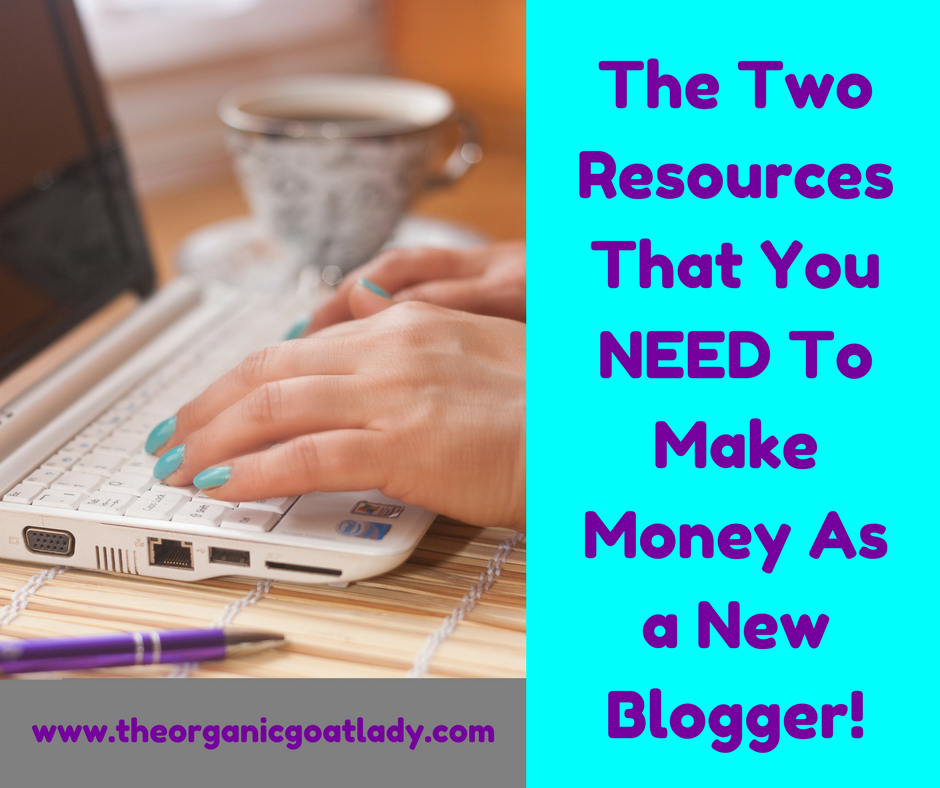 The Two Resources That You NEED To Make Money As a New Blogger!