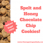 Spelt and Honey Chocolate Chip Cookies!