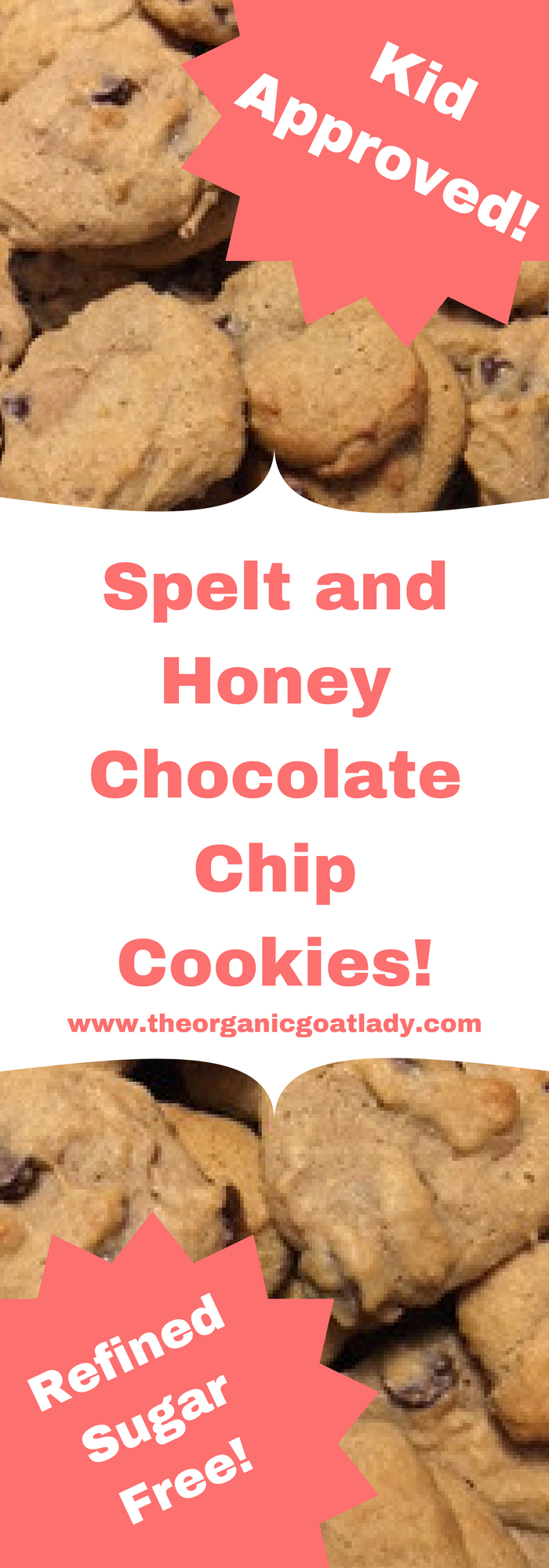 Spelt and Honey Chocolate Chip Cookies!