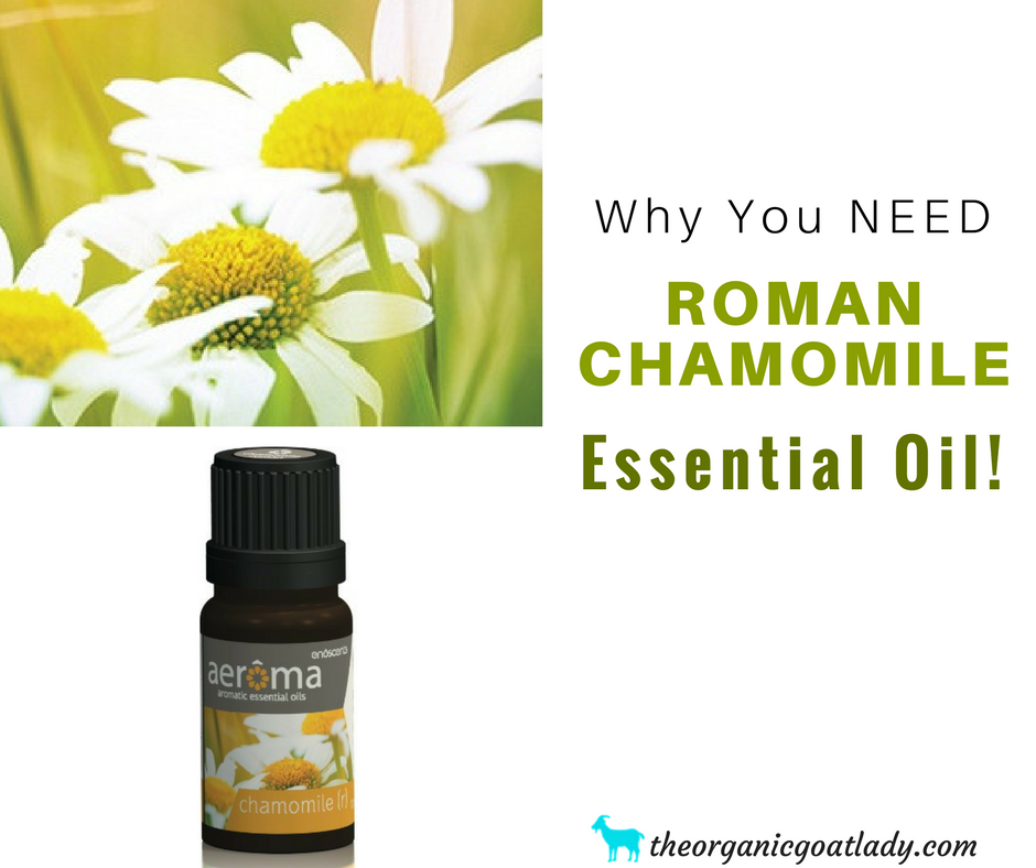 Why You Should Use Roman Chamomile Essential Oil!