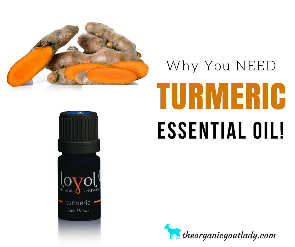 Why You Should Use Turmeric Essential Oil!