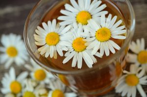 Chamomile Kombucha