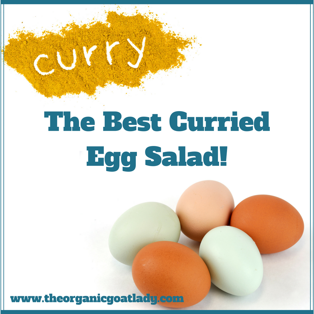 The Best Curried Egg Salad!