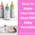 How To Make Goat Milk Baby Formula!