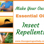 Make Your Own Essential Oil Insect Repellent!