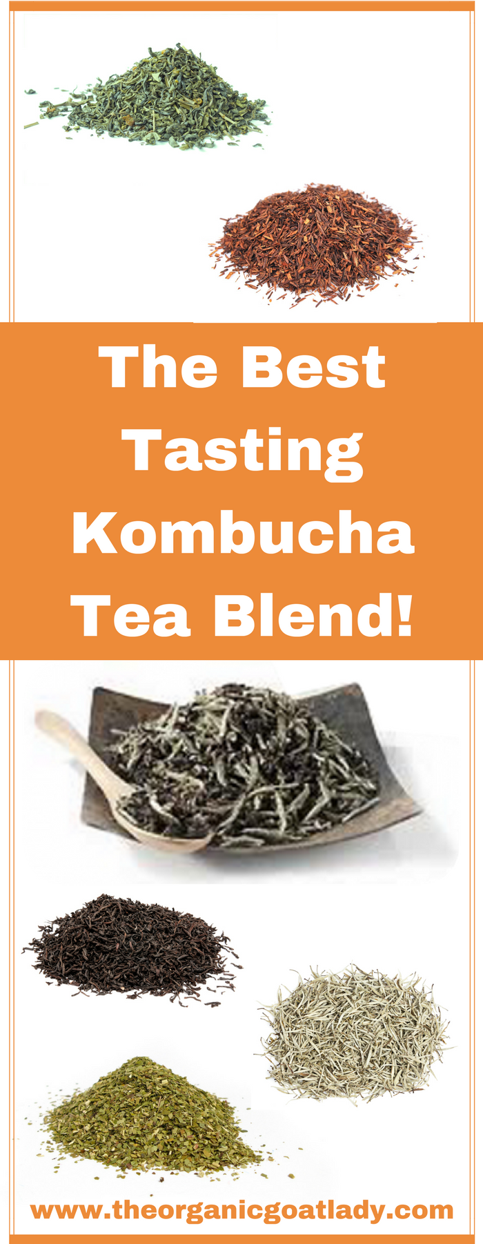 The Best Tasting Kombucha Tea Blend!