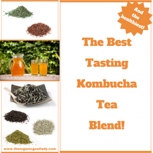 The Best Tasting Kombucha Tea Blend!