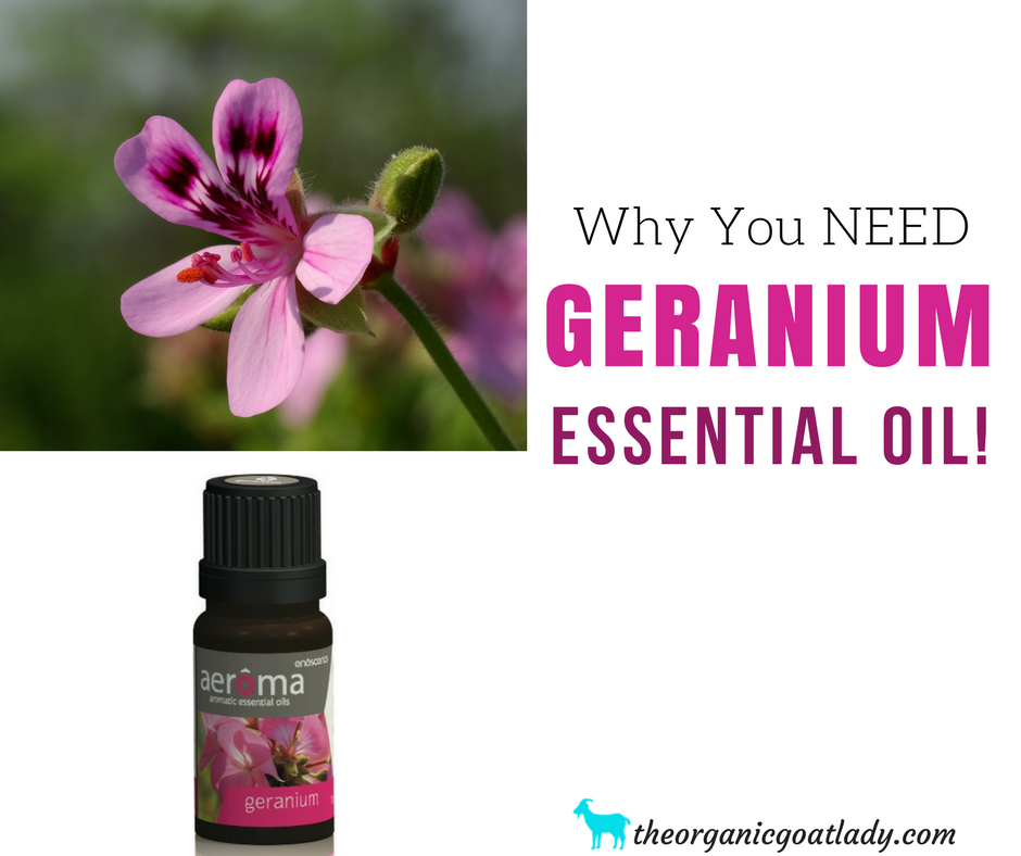 Why You Should Use Geranium Essential Oil!