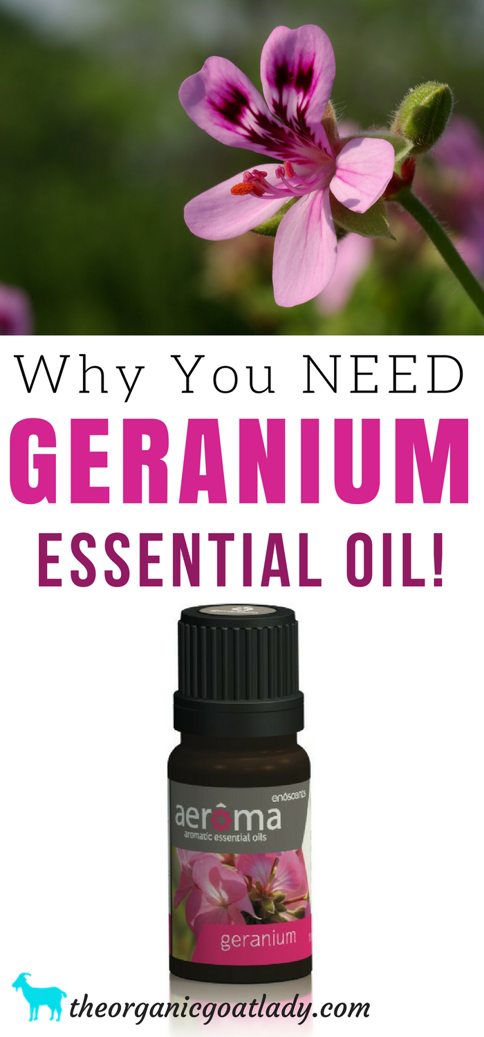 Geranium Essential Oil  Young Living Essential Oils