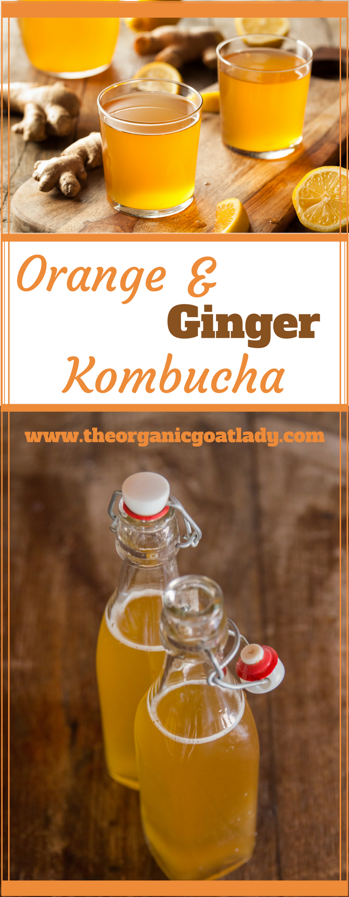 Orange and Ginger Kombucha 