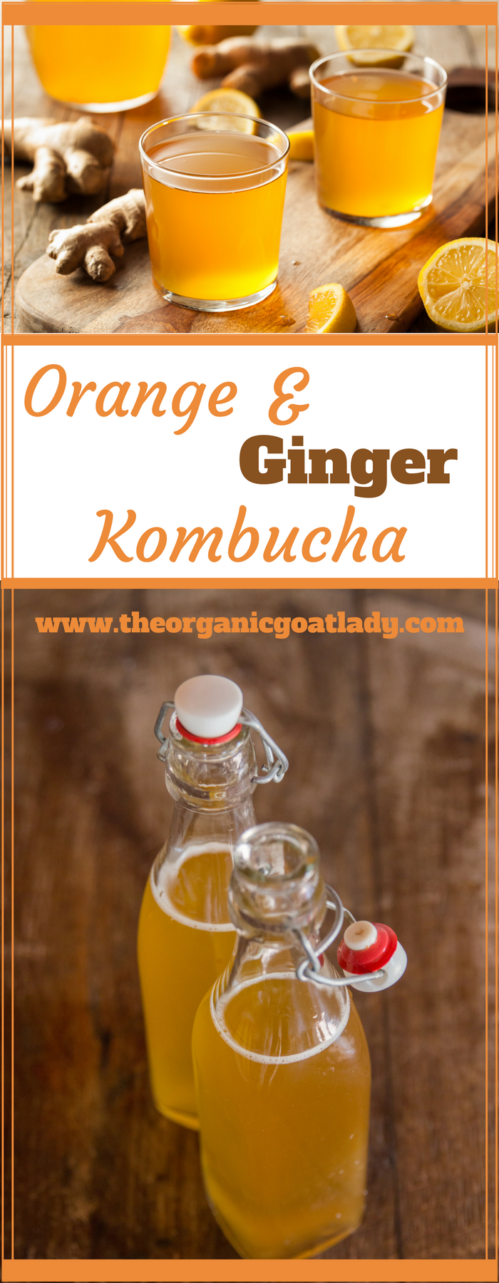 Orange and Ginger Kombucha Recipe - The Organic Goat Lady