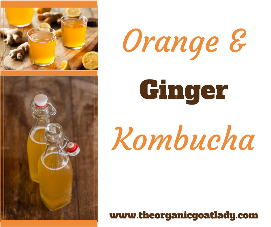 Orange and Ginger Kombucha