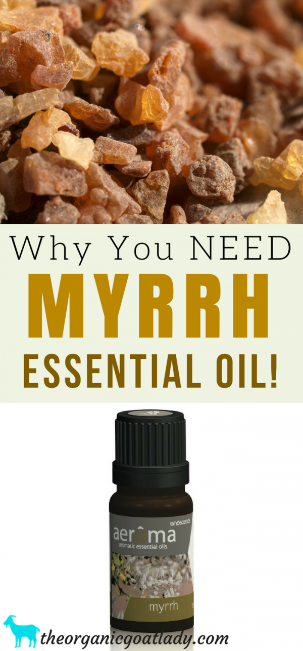 Why You Should Use Myrrh Essential Oil The Organic Goat Lady