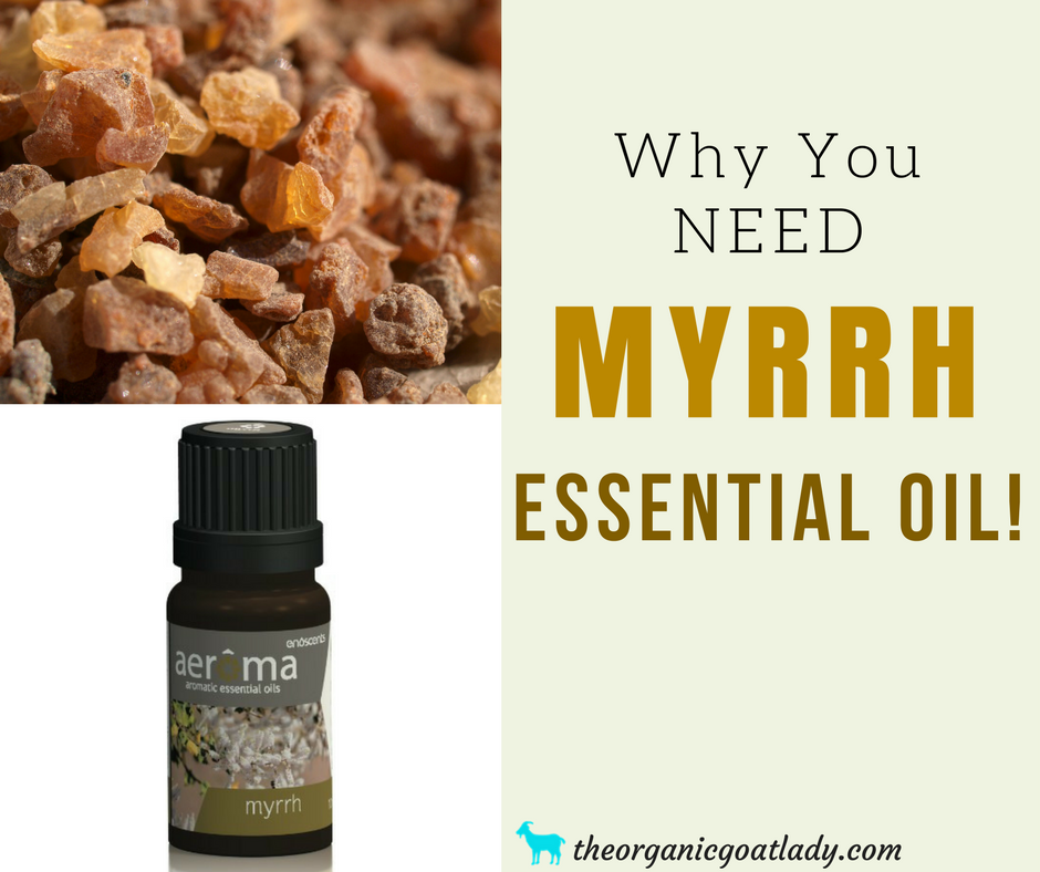 Why You Should Use Myrrh Essential Oil!