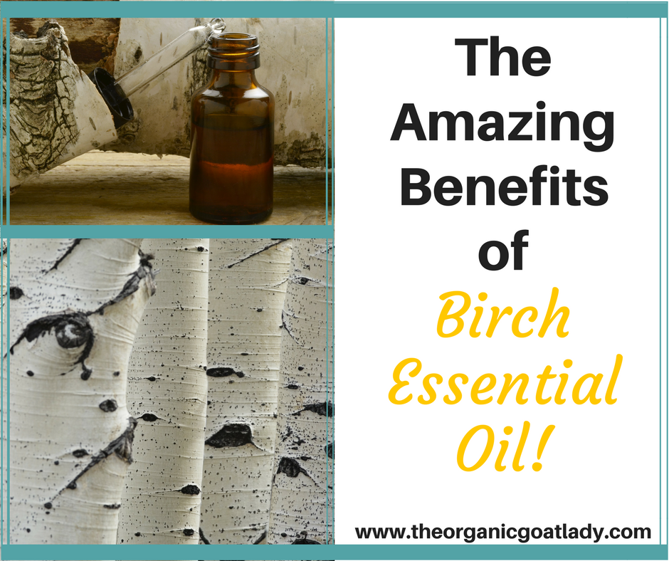 Why You Should Use Birch As Your July Essential Oil of The Month!