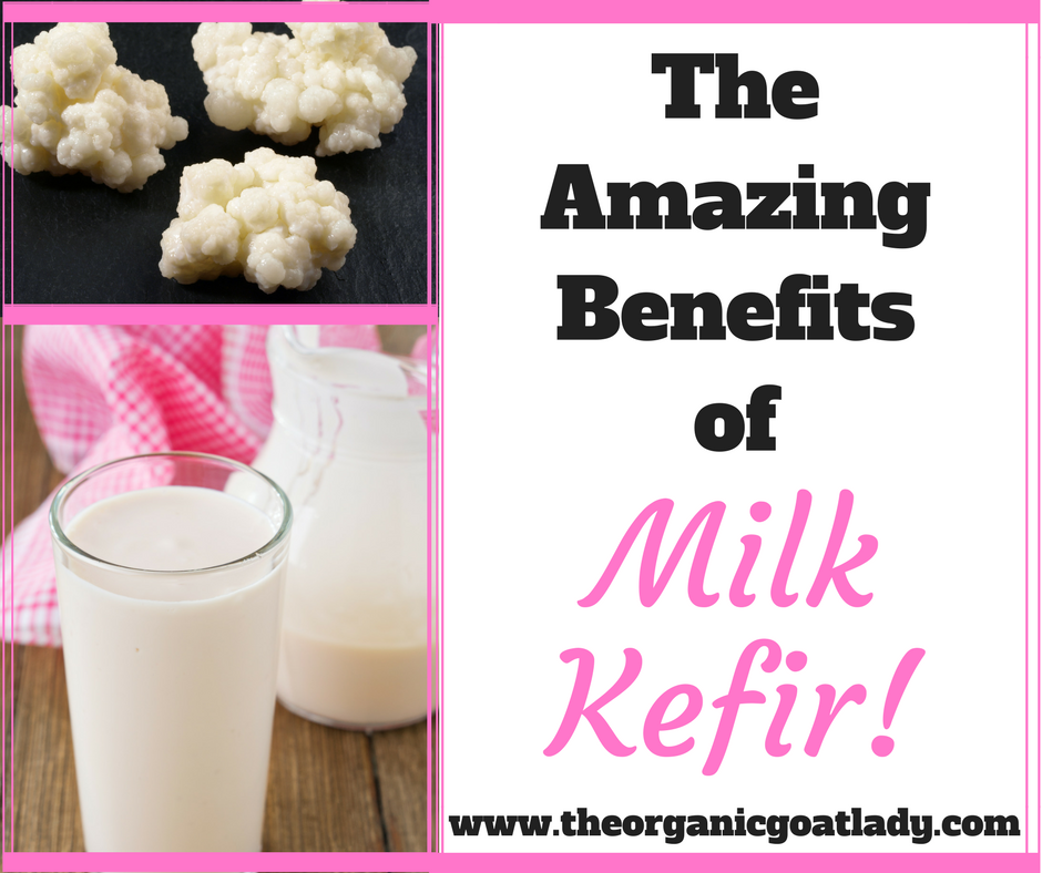 The Amazing Benefits of Milk Kefir!