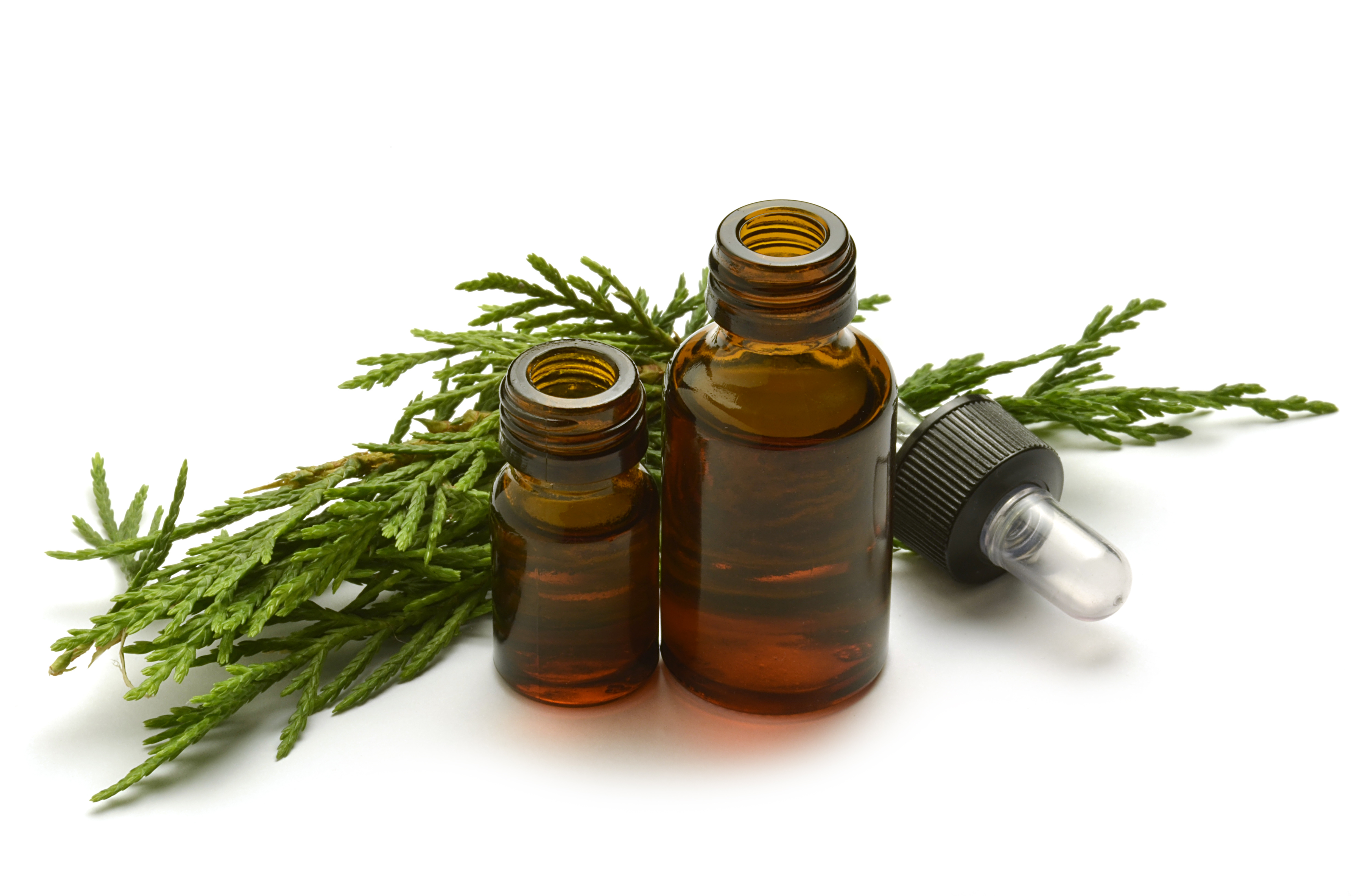 Why You Should Use Cypress Essential Oil!