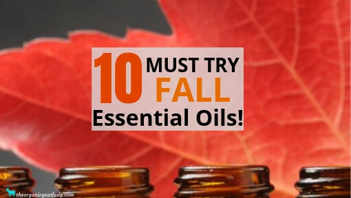 10 Fall Essential Oils That You Must Try!