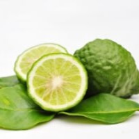 Bergamot Essential Oil