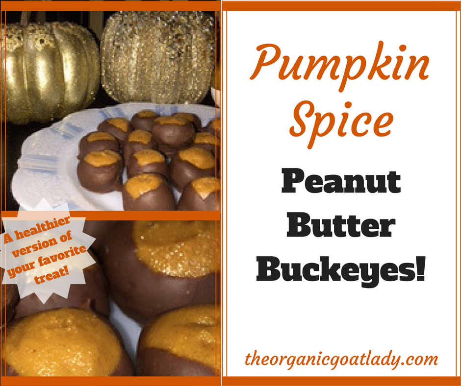 Pumpkin Spice Peanut Butter Buckeyes!