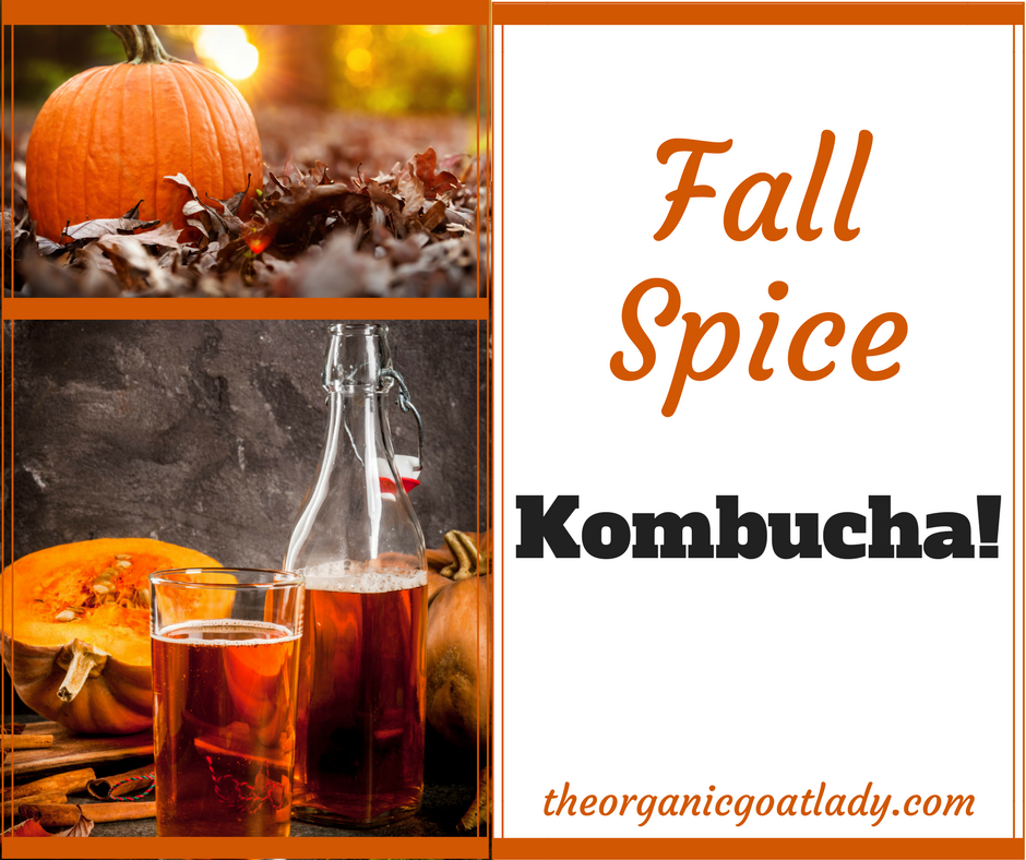 Fall Spice Kombucha Recipe!