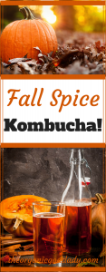 Fall Spice Kombucha!