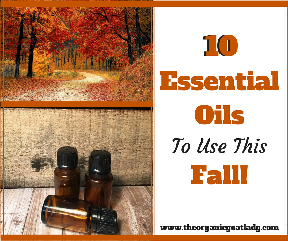 Essential Oils To Use This Fall The Organic Goat Lady