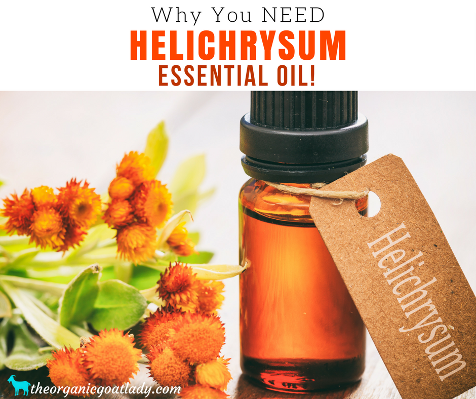 Why You Should Use Helichrysum Essential Oil!
