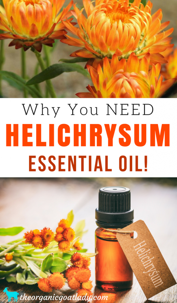 why-you-should-use-helichrysum-essential-oil-the-organic-goat-lady