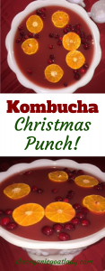 Kombucha Christmas Punch!