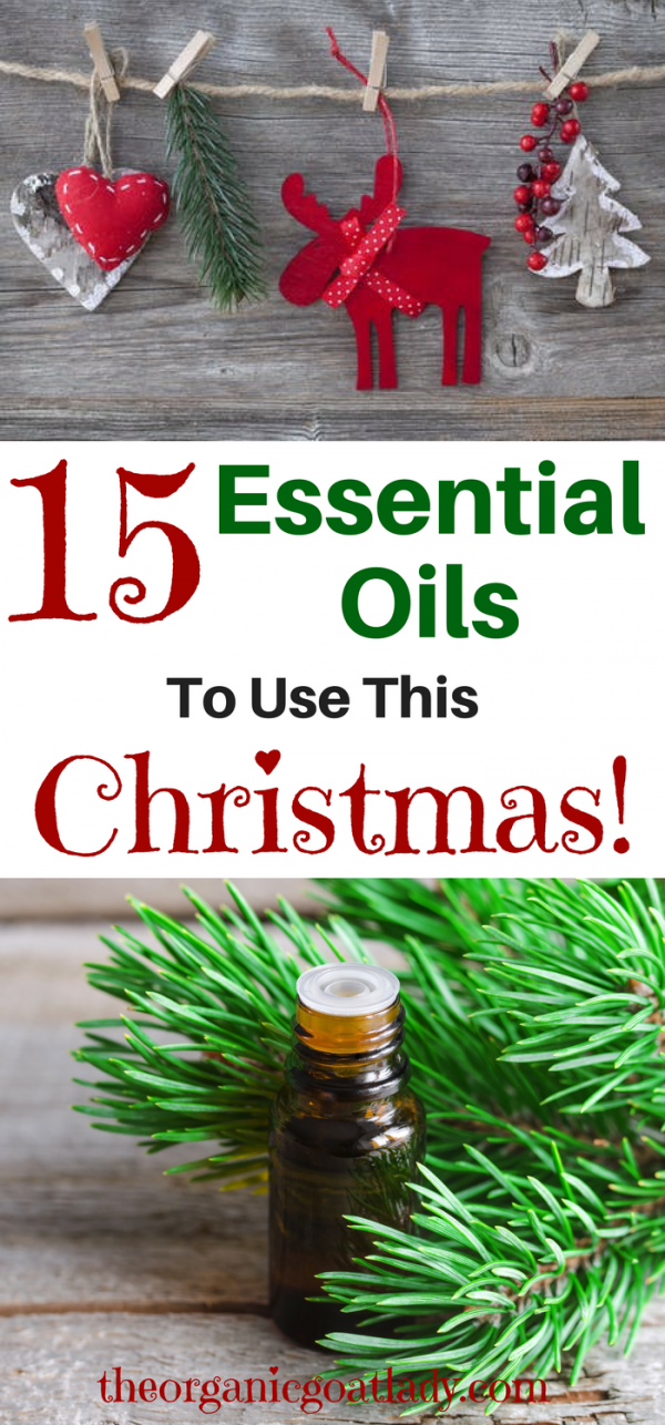 15 Christmas Essential Oils To Use This Holiday Season! The Organic
