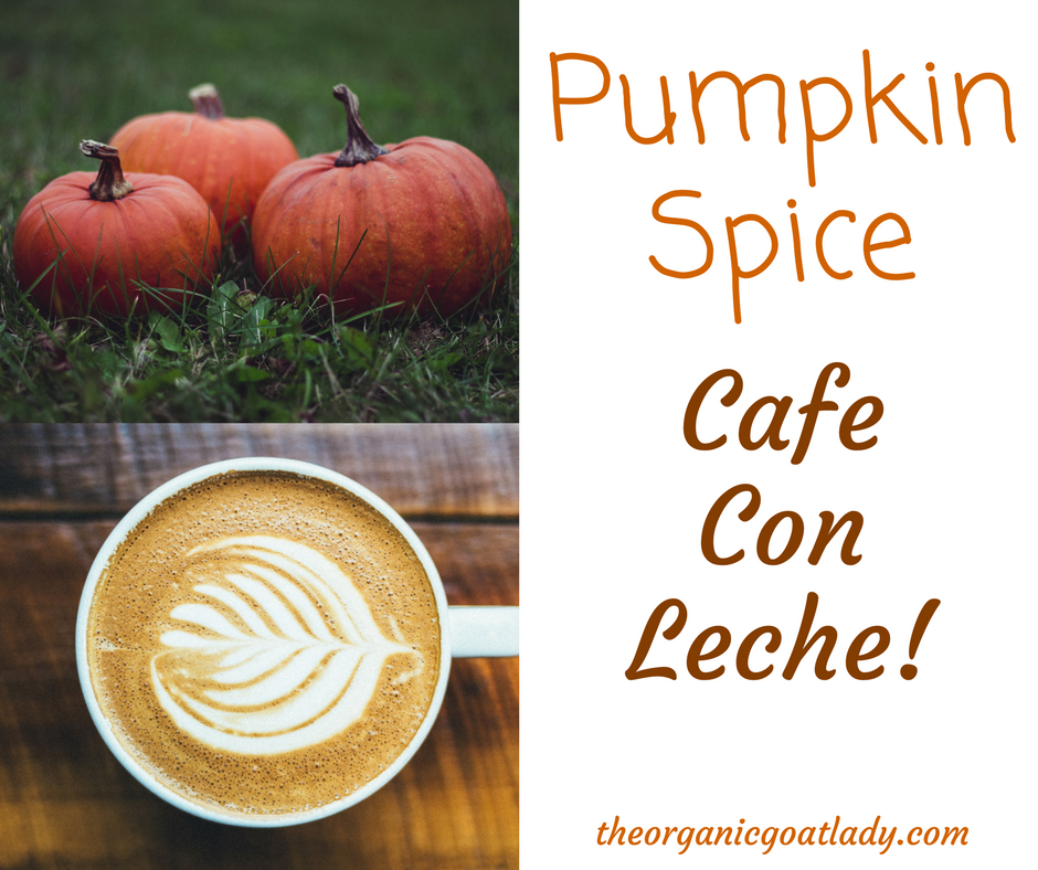 How To Make Cafe Con Leche With Pumpkin Pie Spice!
