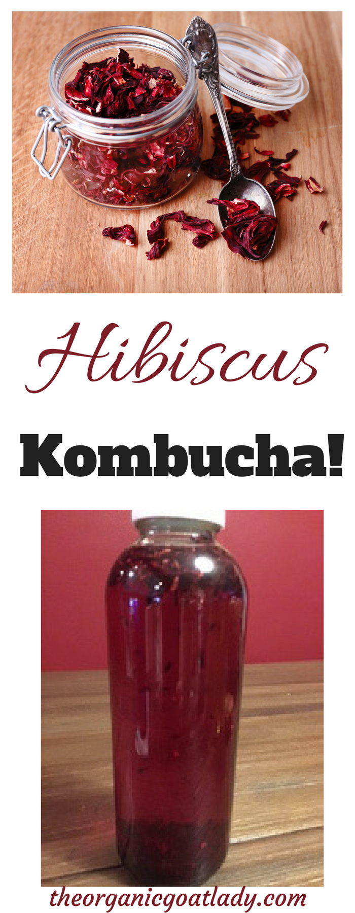Hibiscus Kombucha 