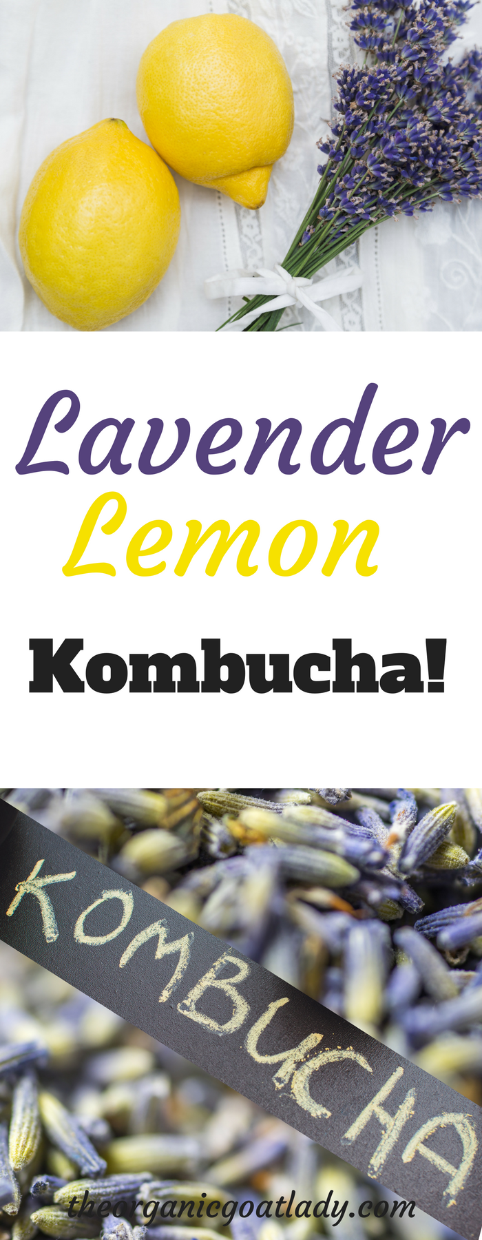 Lemon Lavender Kombucha Recipe! - The Organic Goat Lady