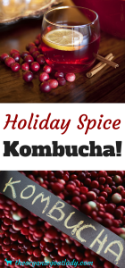 Holiday Spice Kombucha!