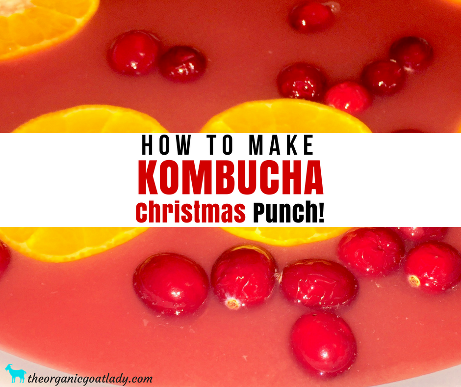Kombucha Christmas Punch!