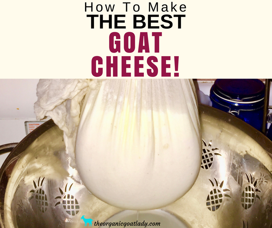 How To Make Goat Cheese!